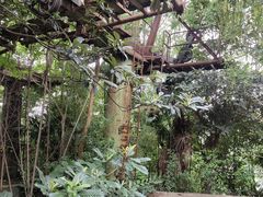 -焦山景区-万佛塔