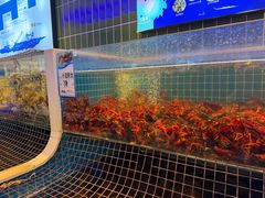 -老船长海鲜加工店(世纪家园店)