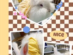 -怪兽屋·羊驼·猫咖·狗咖(俊华广场店)