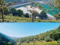 -九龙潭景区