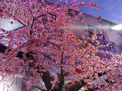 -清真·老金烧烤·小龙虾(奥体中路店)