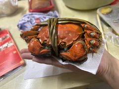 -阳澄湖半岛旅游度假区