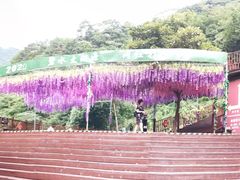 -太湖源风景区