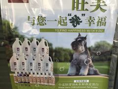 -暖阳宠物医院·犬猫康复中心·骨科