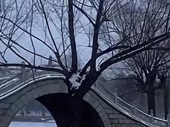 -长春市南湖公园