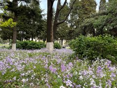 -东北大学(南湖校区)