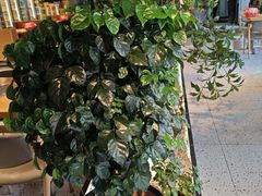 -奉天宴遇烧烤·冒锅