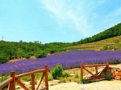 -白沙门生态公园