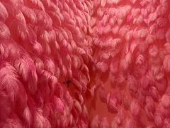 -杭州西湖星空魔幻城(星空艺术馆品牌旗舰店)