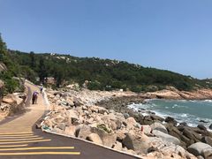 -广东惠东海龟国家级自然保护区