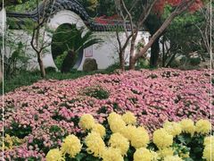 -汇龙潭
