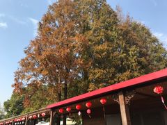 -长兴岛郊野公园农场食堂