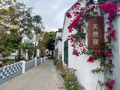 -天然居(伦教店)