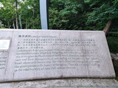 -八大关景区