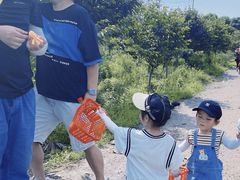 -塘栖枇杷特色园区