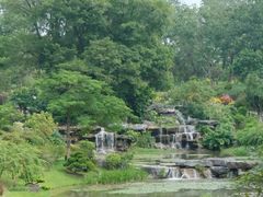 -东莞植物园