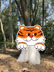 -青禾蒙娜丽莎婚纱摄影(武汉总店)