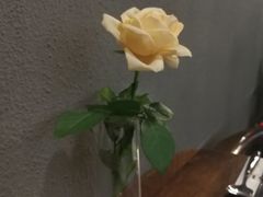 -1861意大利餐厅(文化广场店)