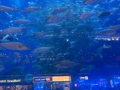 -成都浩海立方海洋公园