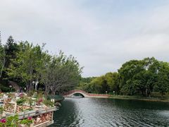 -深圳龙潭公园