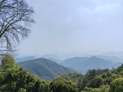 -莫干山风景区