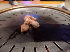 -杨小佳·齐齐哈尔烤肉·烤串(广州店)
