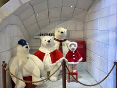 -济州岛泰迪熊博物馆