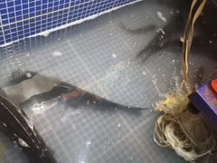 -好灶头铁锅炖(万象城店)