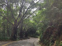 -云溪植物园