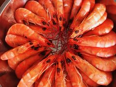 -北海金海湾红树林生态旅游区