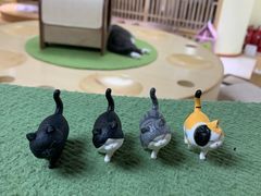 -猫和宫(六道口店)