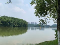 -番禺大夫山森林公园