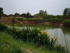 -淇河国家湿地公园