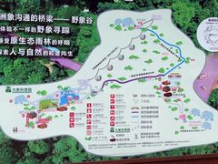 -野象谷景区