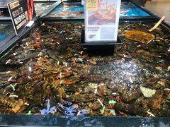波士顿龙虾-盒马鲜生(皇庭广场店)