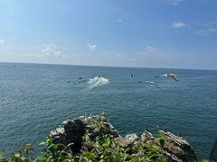 -大连金石滩滨海国家地质公园