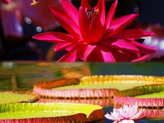 -国家植物园南园