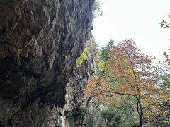 -吉林拉法山