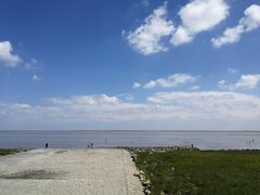 -南汇嘴观海公园