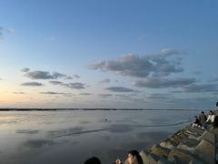 -南汇嘴观海公园