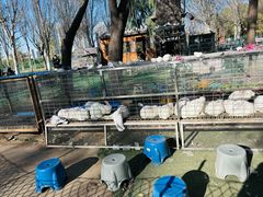 -长白岛森林公园