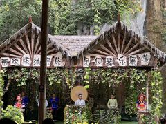 -西双版纳原始森林公园