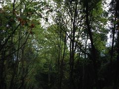 -窦圌山风景区