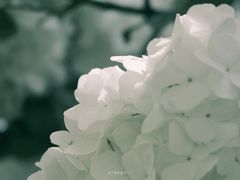 -杭州城北体育公园