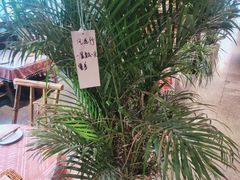 -火塘云南烧烤大排档