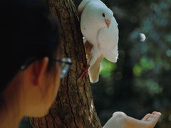 -西园寺