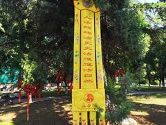 -函谷关历史文化旅游区