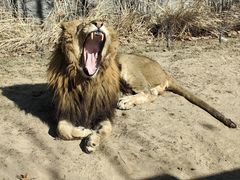 -北京野生动物园