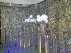 点击看大图 -深圳美莱医疗美容医院