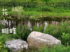 -东郊湿地公园